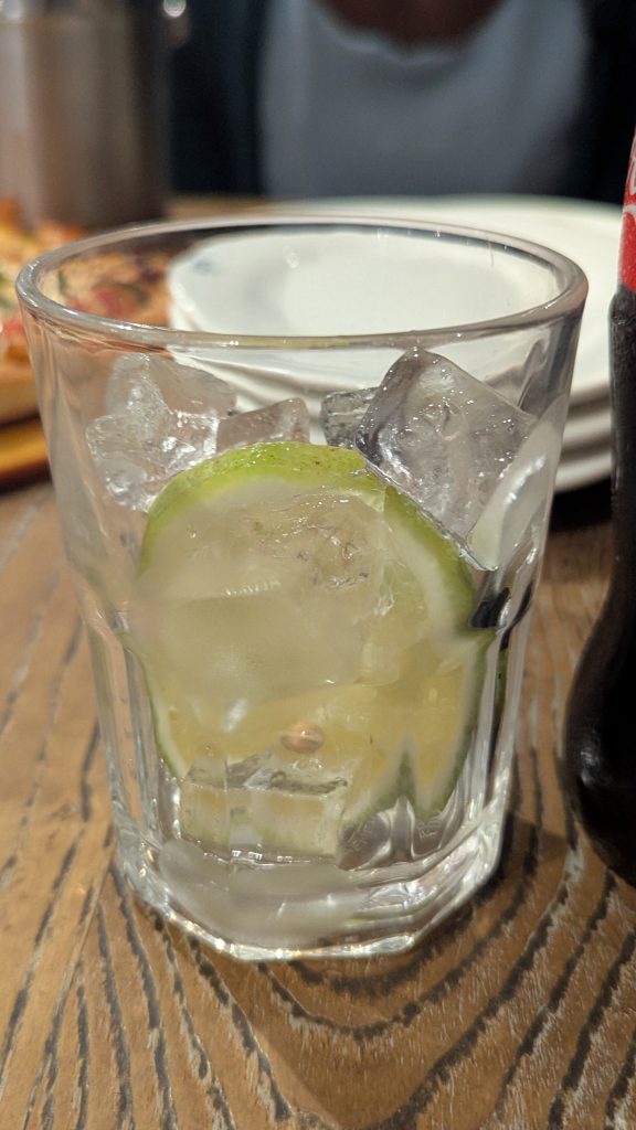 Empty glass with lemon slice and ice cubes