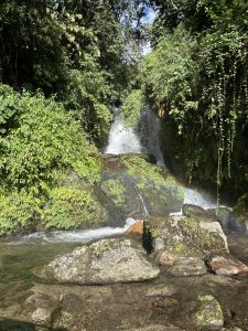 A lush, green landscape featuring a small waterfall cascading over rocks into a shallow, clear stream