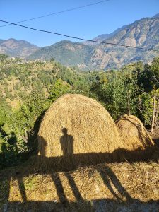 A beautiful scenic view of green hills and lush green forest with a clear blue sky. The picture focuses on a big hump of dried paddy, reflecting the shadow of a human.