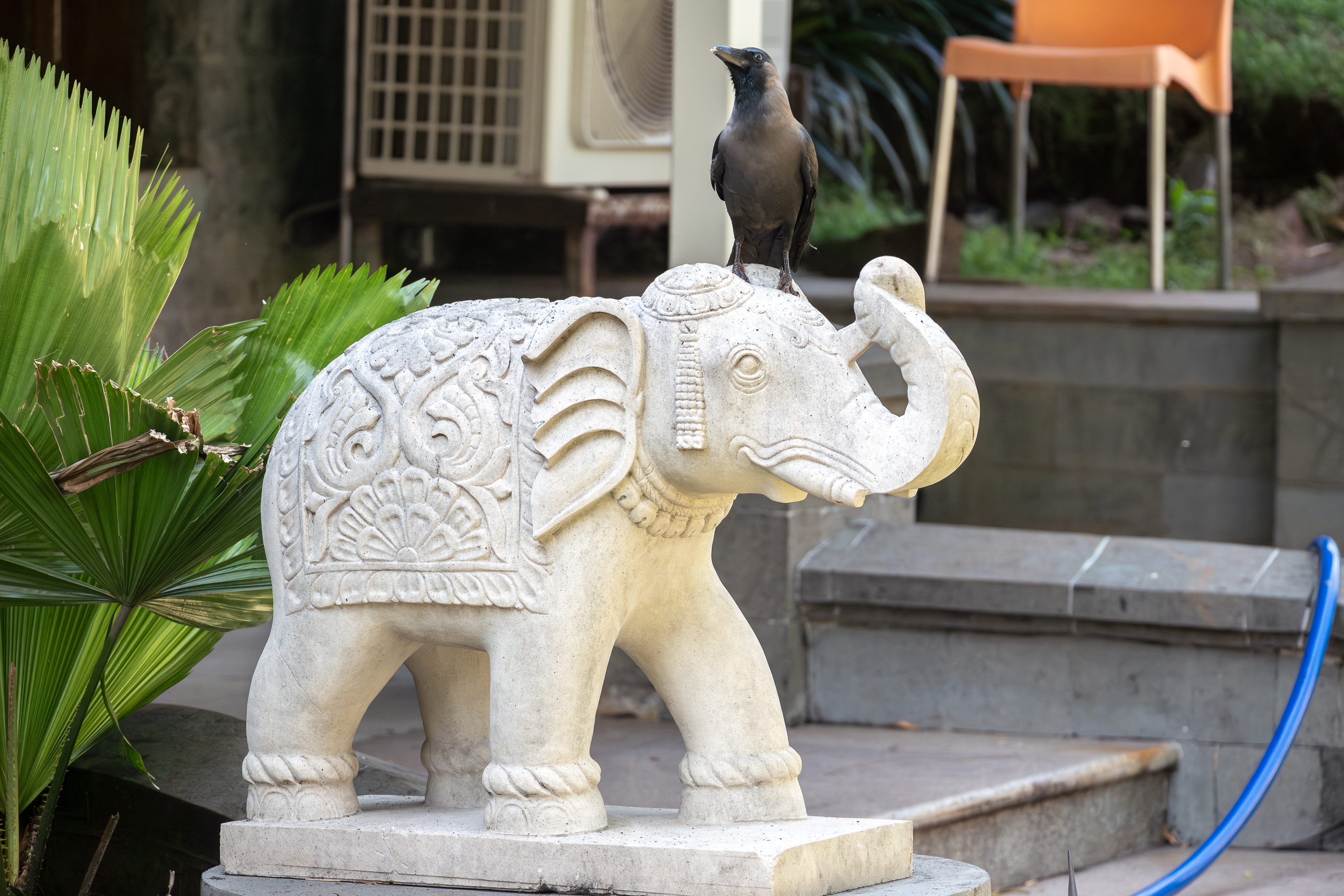 A decorative stone elephant sculpture is positioned on a patio, with intricate carvings on its body. A dark black crow bird is perched on the elephant's head.