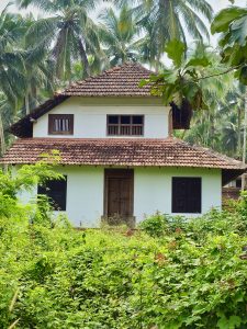 A beautiful traditional white Kerala house stands quietly among thick green plants and tall coconut trees in Vellanoor, Chathamangalam, Kozhikode. The calm surroundings add a soft charm to the scene. 