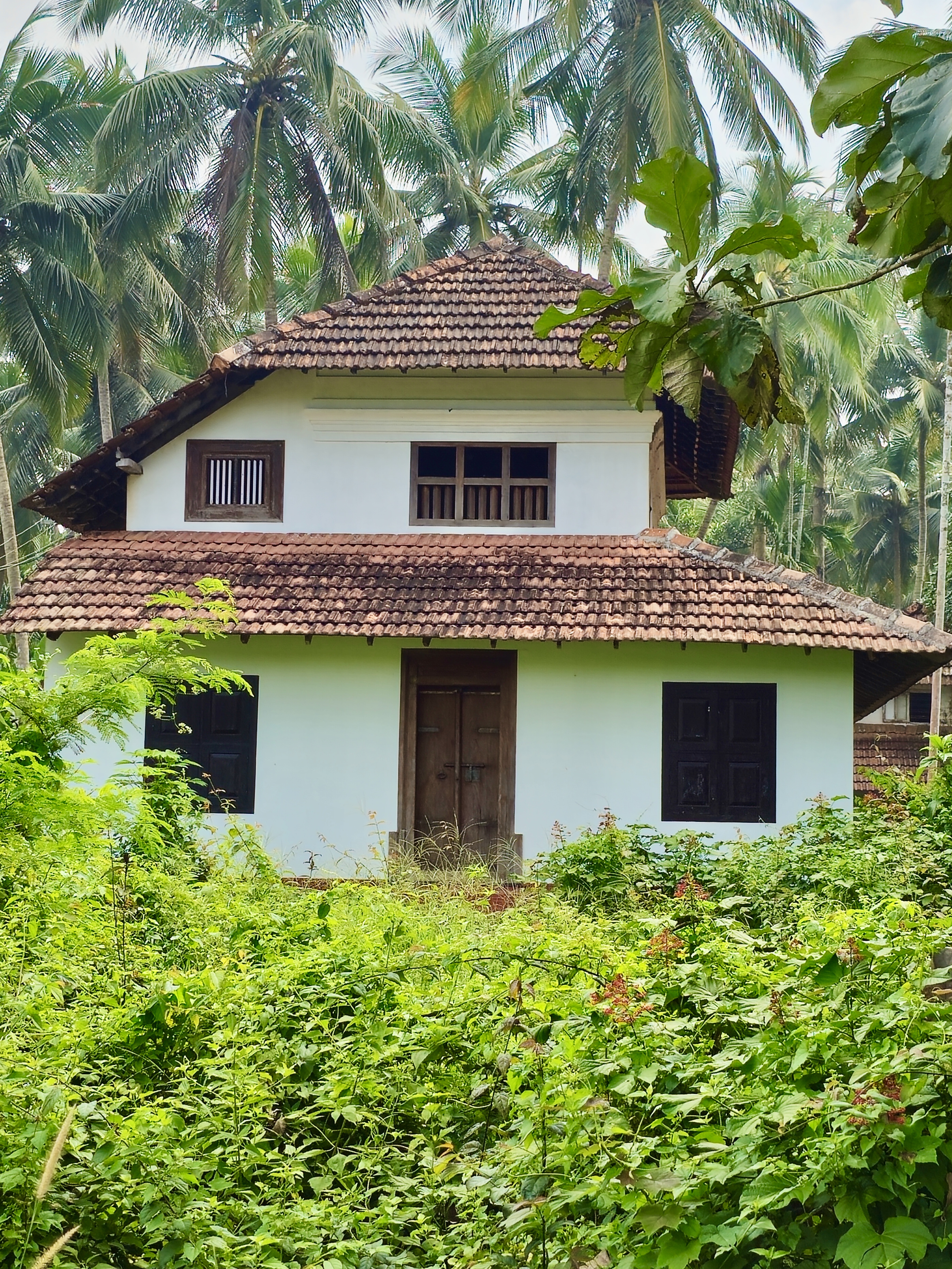 A beautiful traditional white Kerala house stands quietly among thick green plants and tall coconut trees in Vellanoor, Chathamangalam, Kozhikode. The calm surroundings add a soft charm to the scene. 