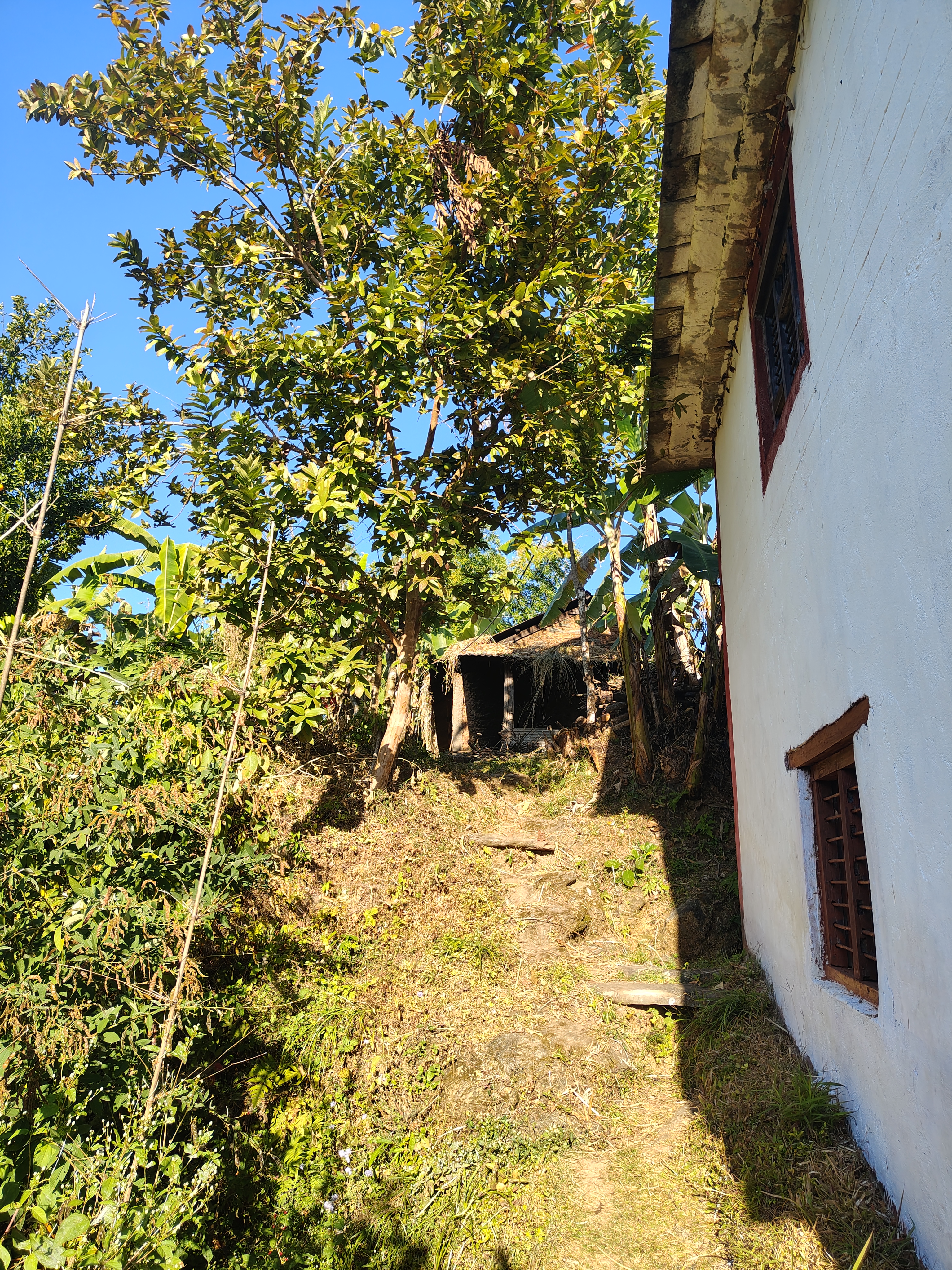 A pathway climbs a green hillside, with a white house on the right and a thatched structure in the distance.