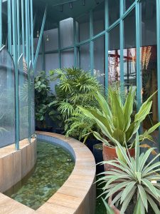 A calm indoor garden with green plants, a curved pebble pond, and teal glass walls creates a peaceful atmosphere