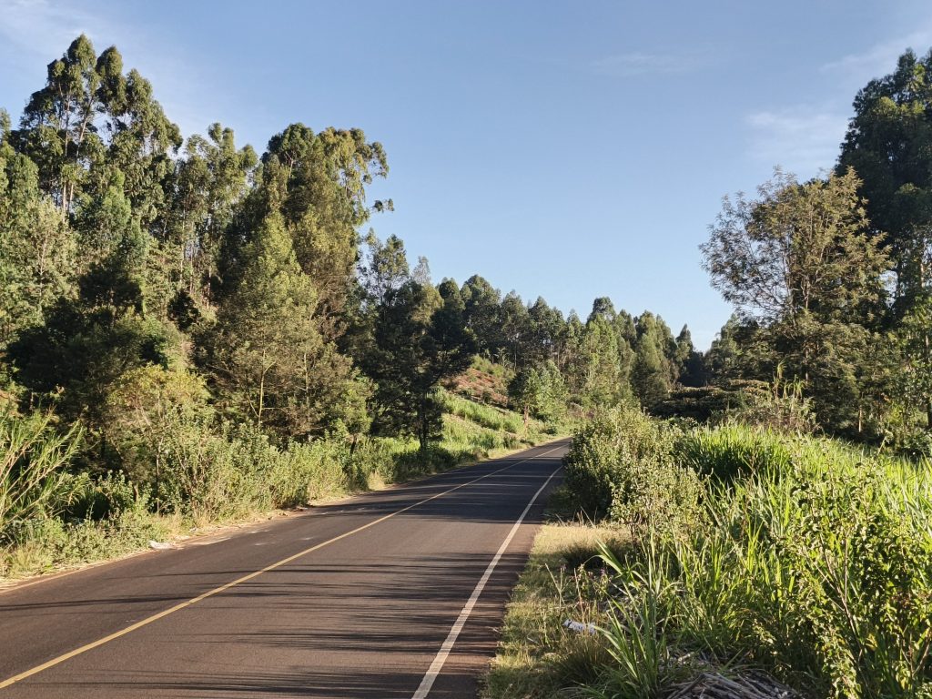 A winding asphalt road through lush greenery and tall trees under a clear blue sky in Muguga, Kiambu, Kenya.
