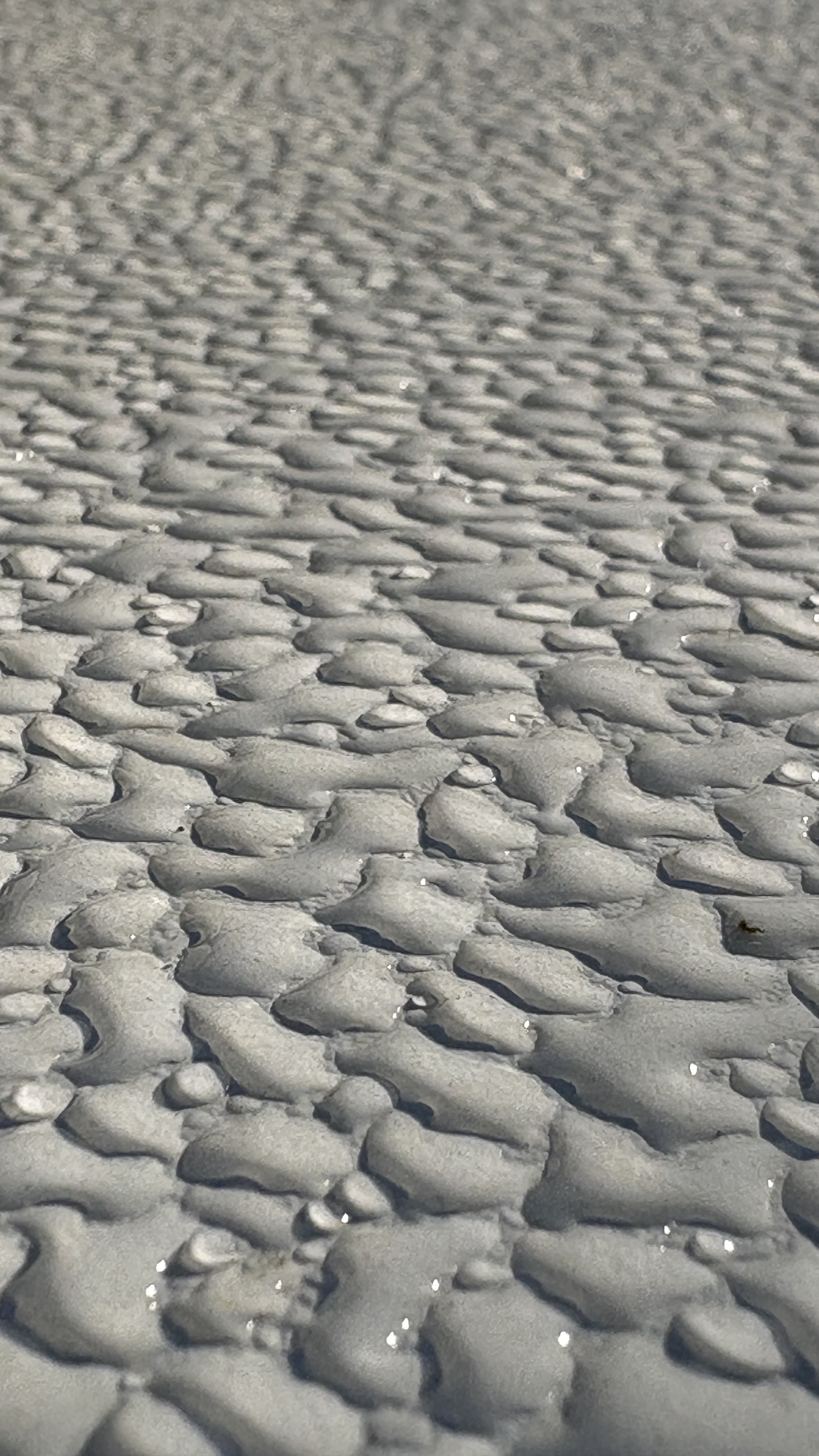 Drops on a table surface at dusk