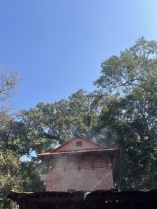 A brick building stands among tall trees with smoke rising lightly in front of it under a clear blue sky.