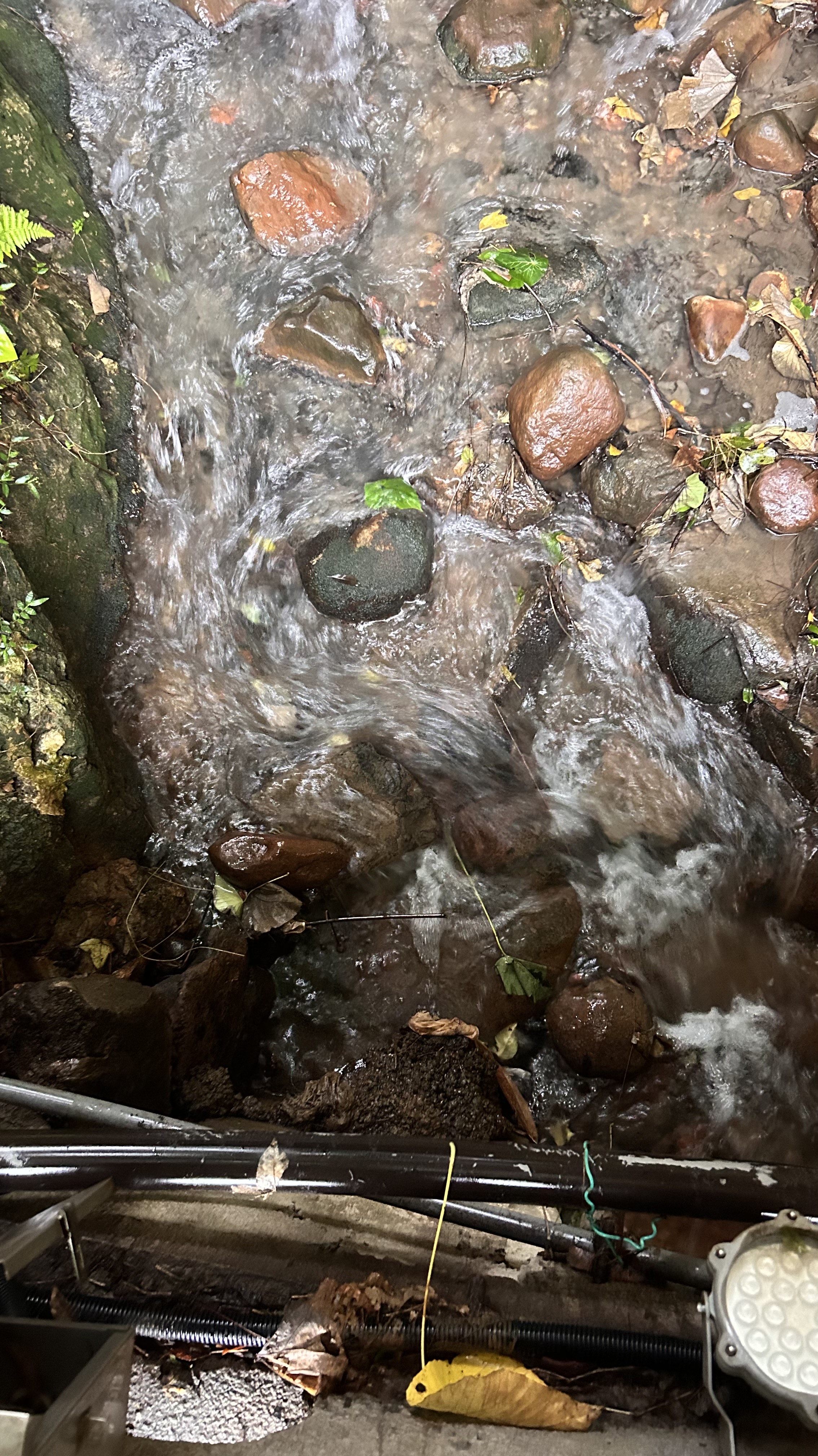 A close-up view of a flowing stream with clear water, revealing various sized smooth, round stones and some scattered fallen leaves. Infrastructure ducting for electric LED lighting rests in front of the stream.