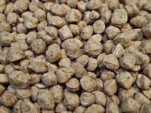 A detailed close-up of dry soy chunks showing their rough texture and natural brown tones. The repeating shapes create a strong visual pattern, captured indoors in Kozhikode, Kerala, highlighting everyday food ingredients in a simple and artistic way. 
