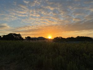 A warm golden sunrise spreads across the sky, casting soft light over a quiet rural landscape and silhouetting the houses and trees along the horizon.