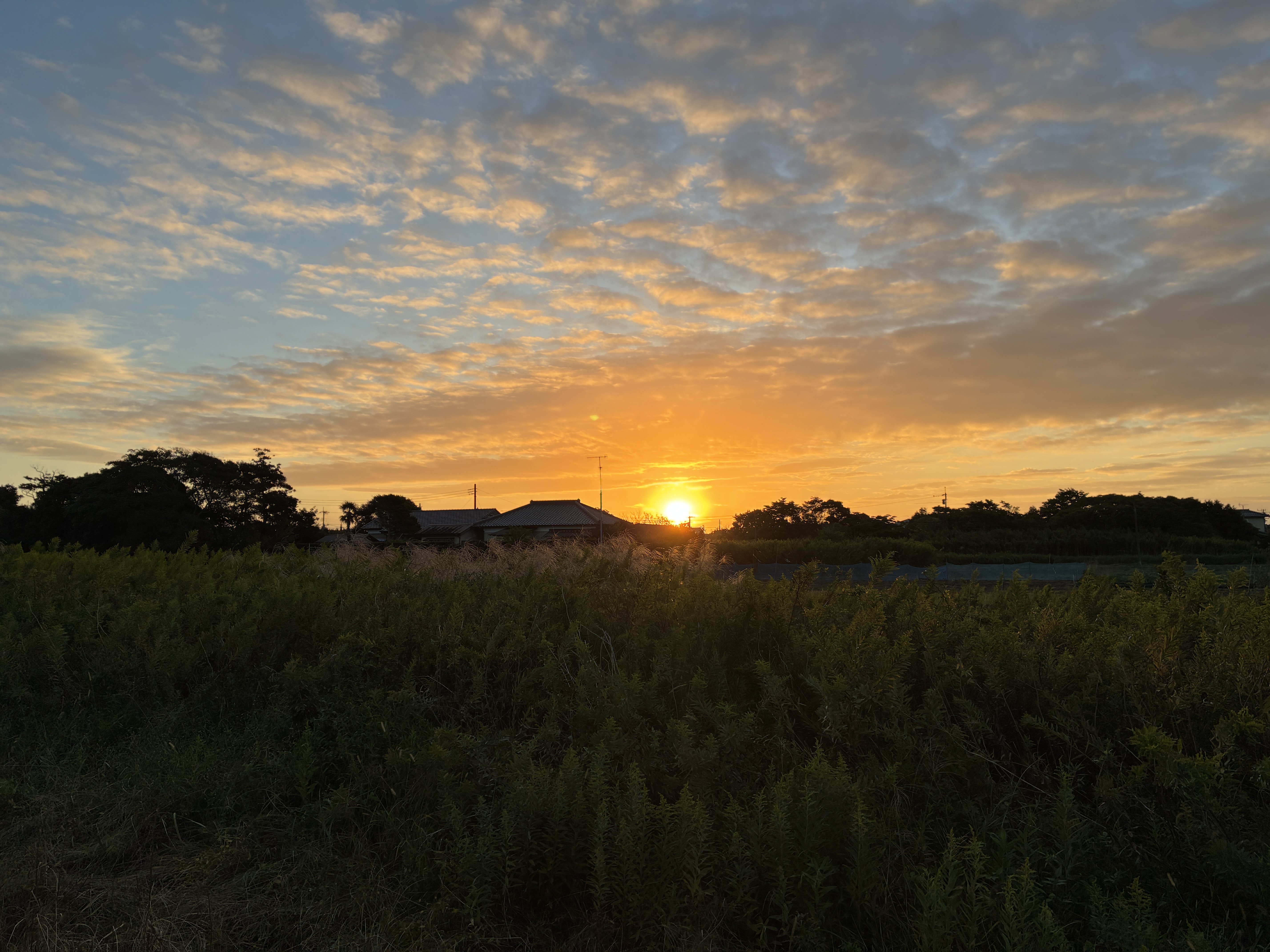 A warm golden sunrise spreads across the sky, casting soft light over a quiet rural landscape and silhouetting the houses and trees along the horizon.