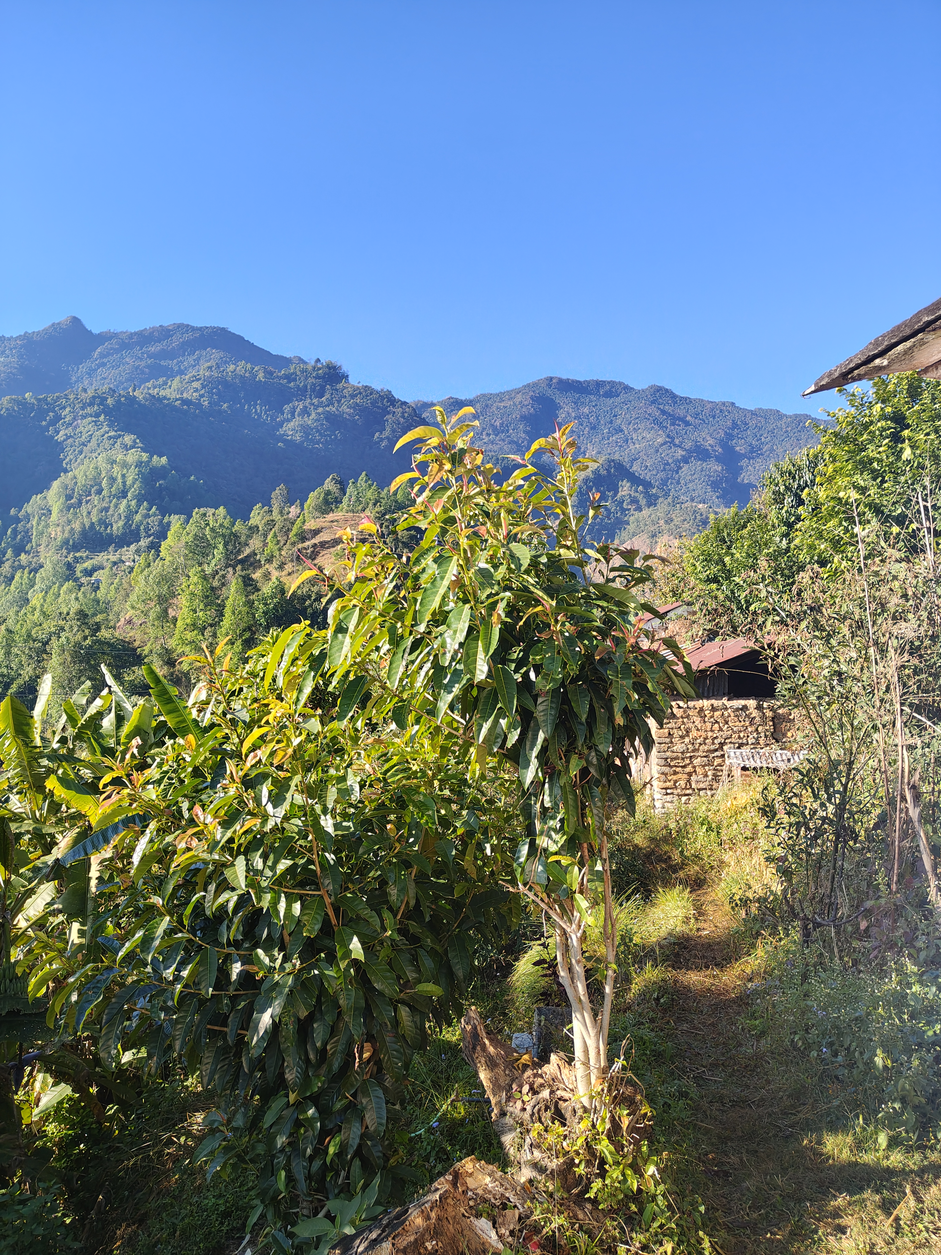 A scenic view of a mountainous landscape under a clear blue sky.