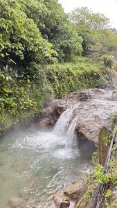 A small waterfall cascades over rocky terrain into a serene pool surrounded by lush green foliage.