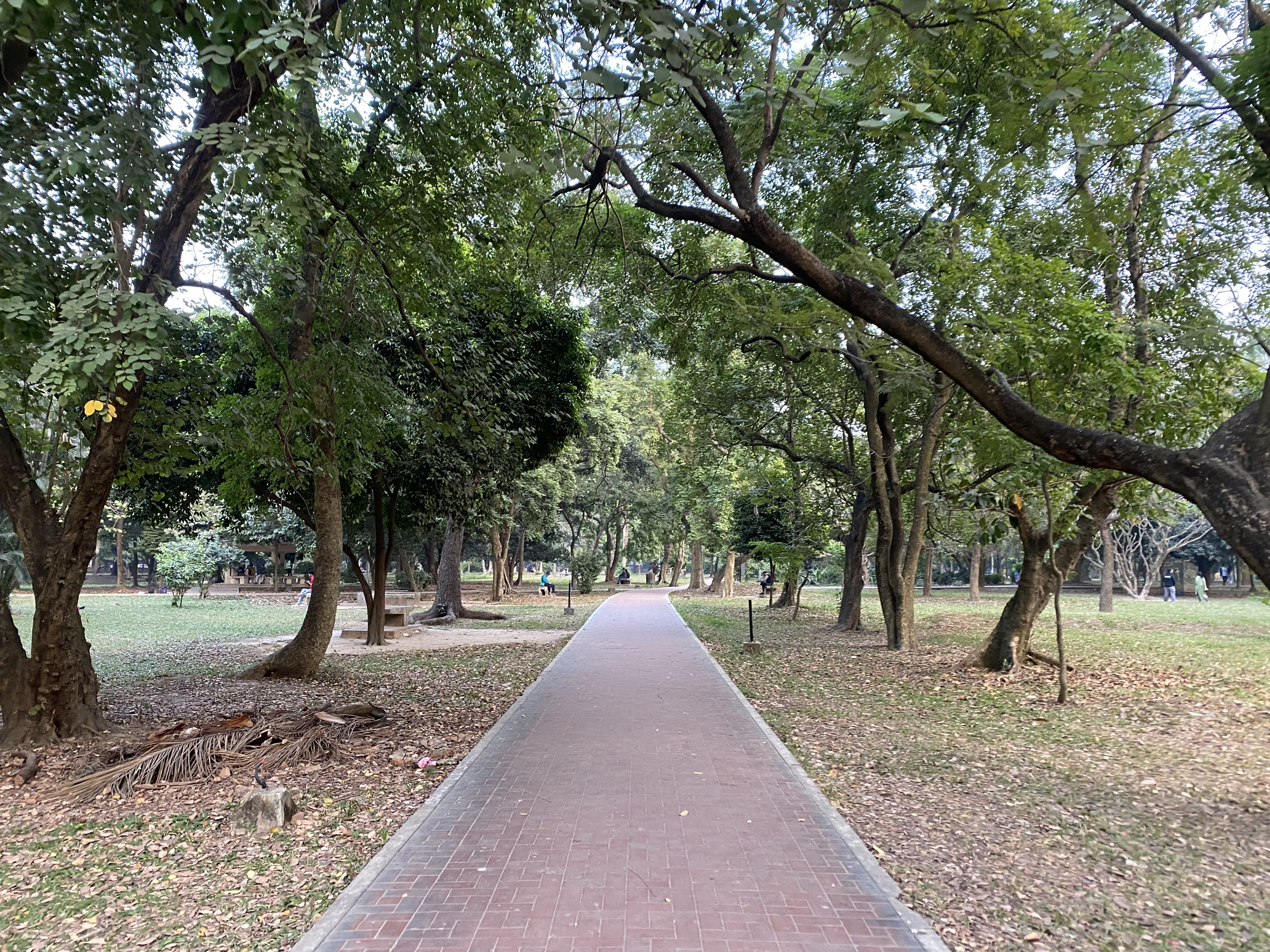 A serene park pathway lined with trees, featuring a brick walkway that leads through a green landscape.