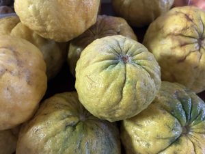 

Close-up of several wrinkled yellow Yuzu fruits piled together.
