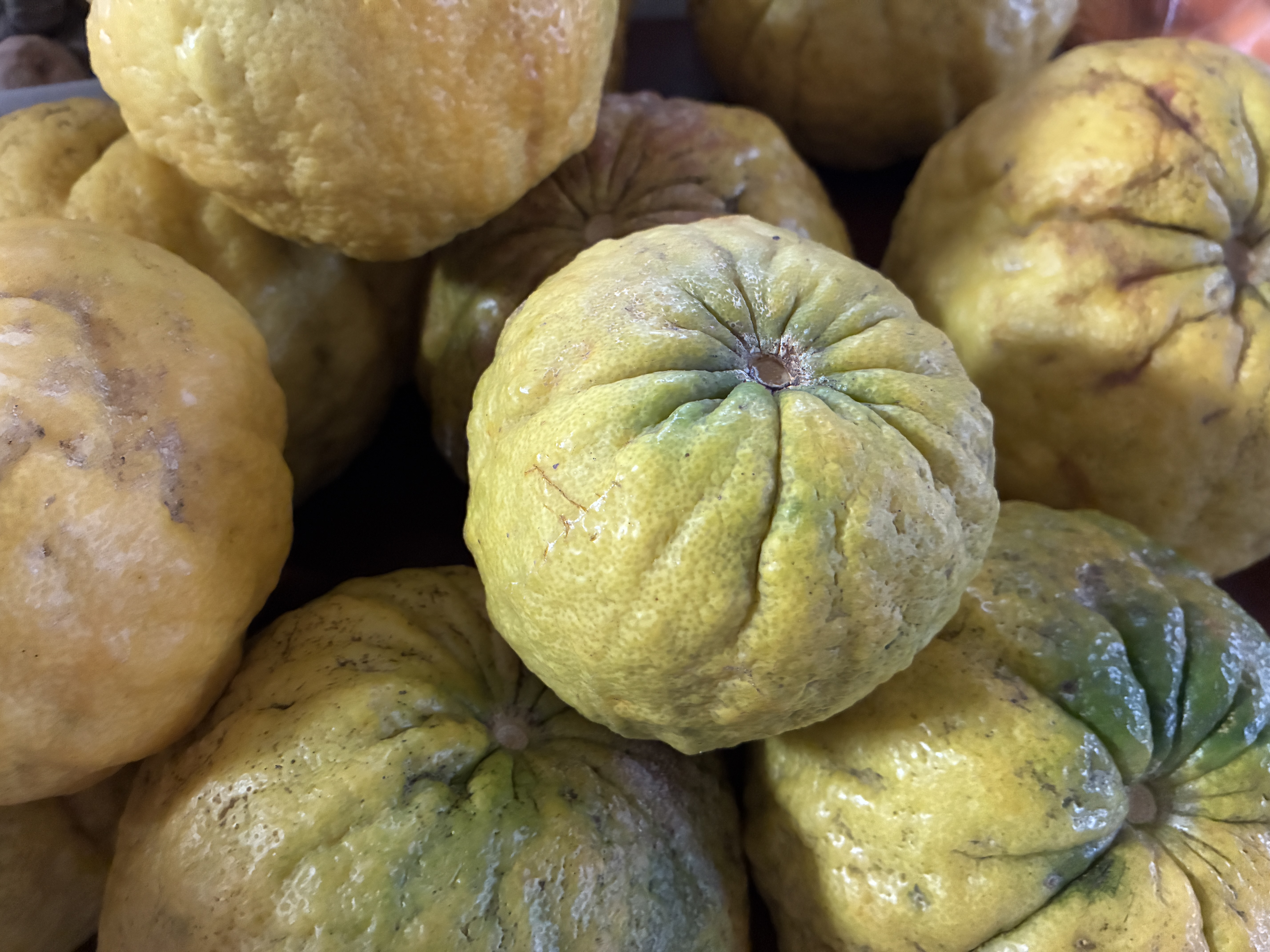 WordPress photo 758692fdc7 | WordPress.org