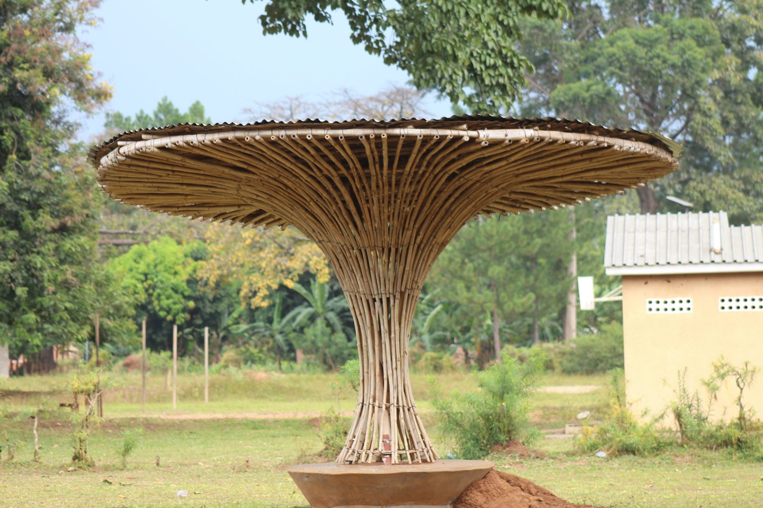 A mushroom shaped shade in Kaliro