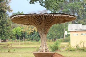 A mushroom shaped shade in Kaliro
