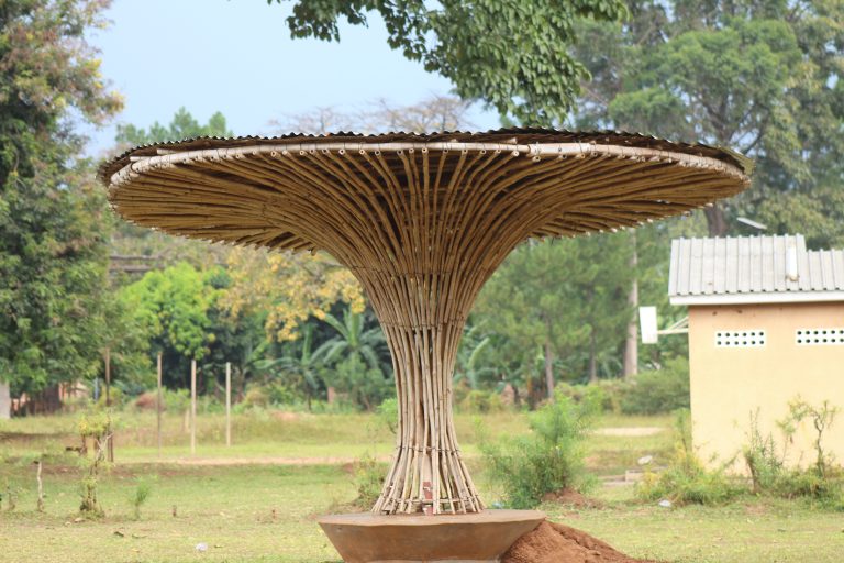 A mushroom shaped shade in Kaliro