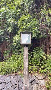 A wooden pole with a square top structure, partially obscured by greenery, stands against a backdrop of lush green foliage. 