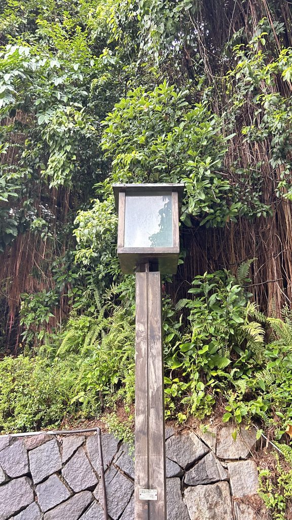 A wooden pole with a square top structure, partially obscured by greenery, stands against a backdrop of lush green foliage.