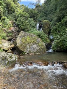 A serene landscape featuring a small cascading waterfall surrounded by lush green foliage and large, moss-covered rocks.