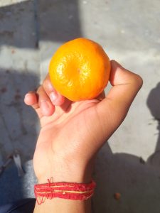 A hand holding a bright orange fruit against a blurred background.