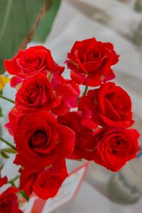 A vibrant bouquet of red roses fills the frame, showcasing their lush petals and deep color.