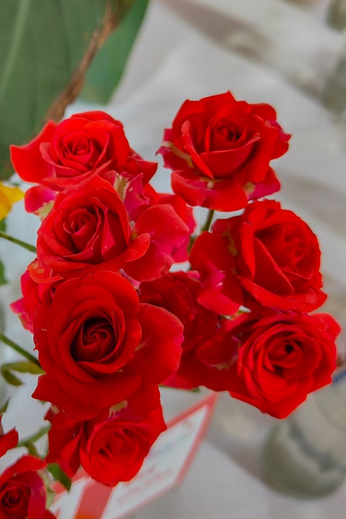 A vibrant bouquet of red roses fills the frame, showcasing their lush petals and deep color.