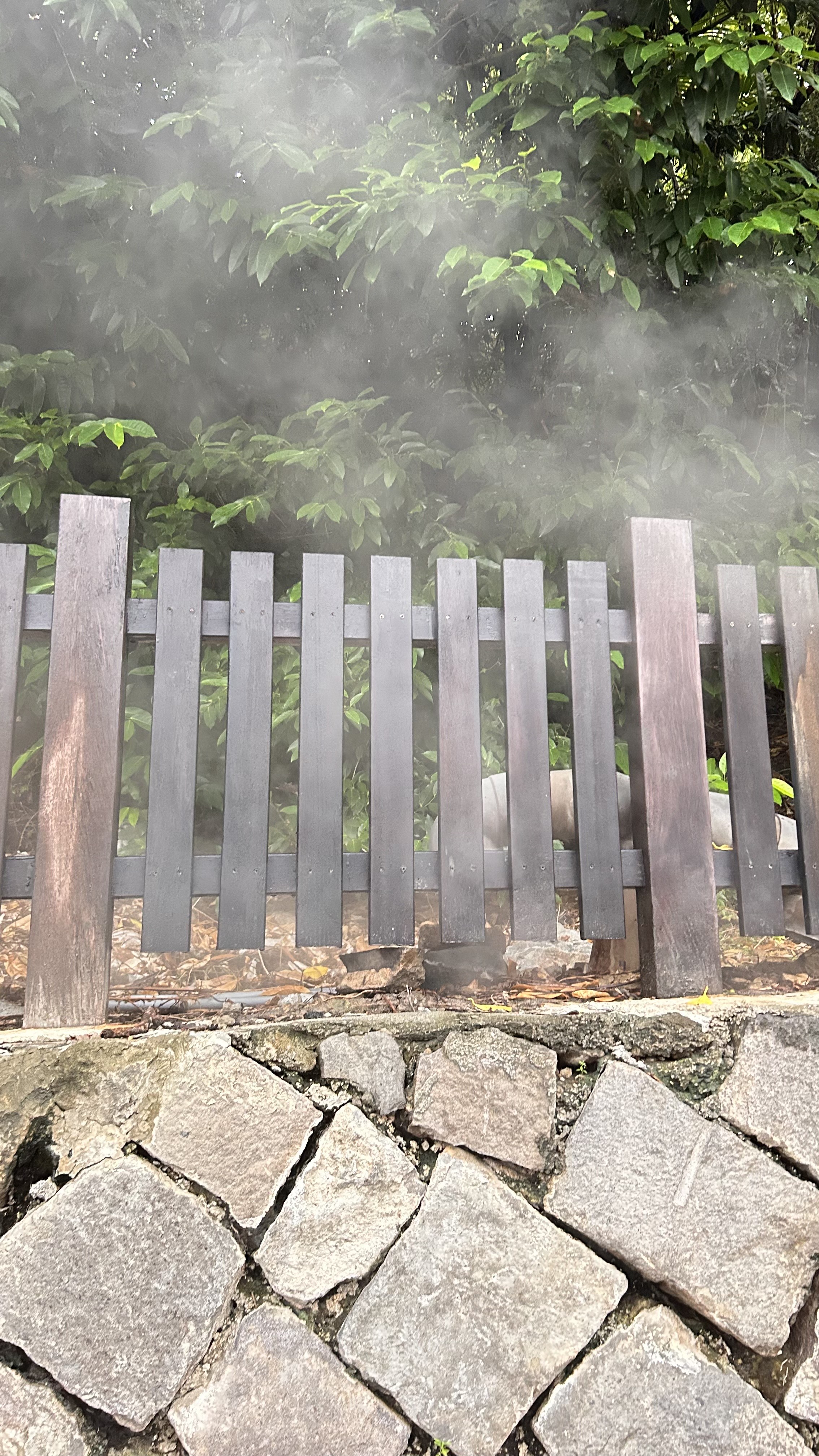 A wooden fence made of dark planks stands in the foreground, partially obscured by a light steam.