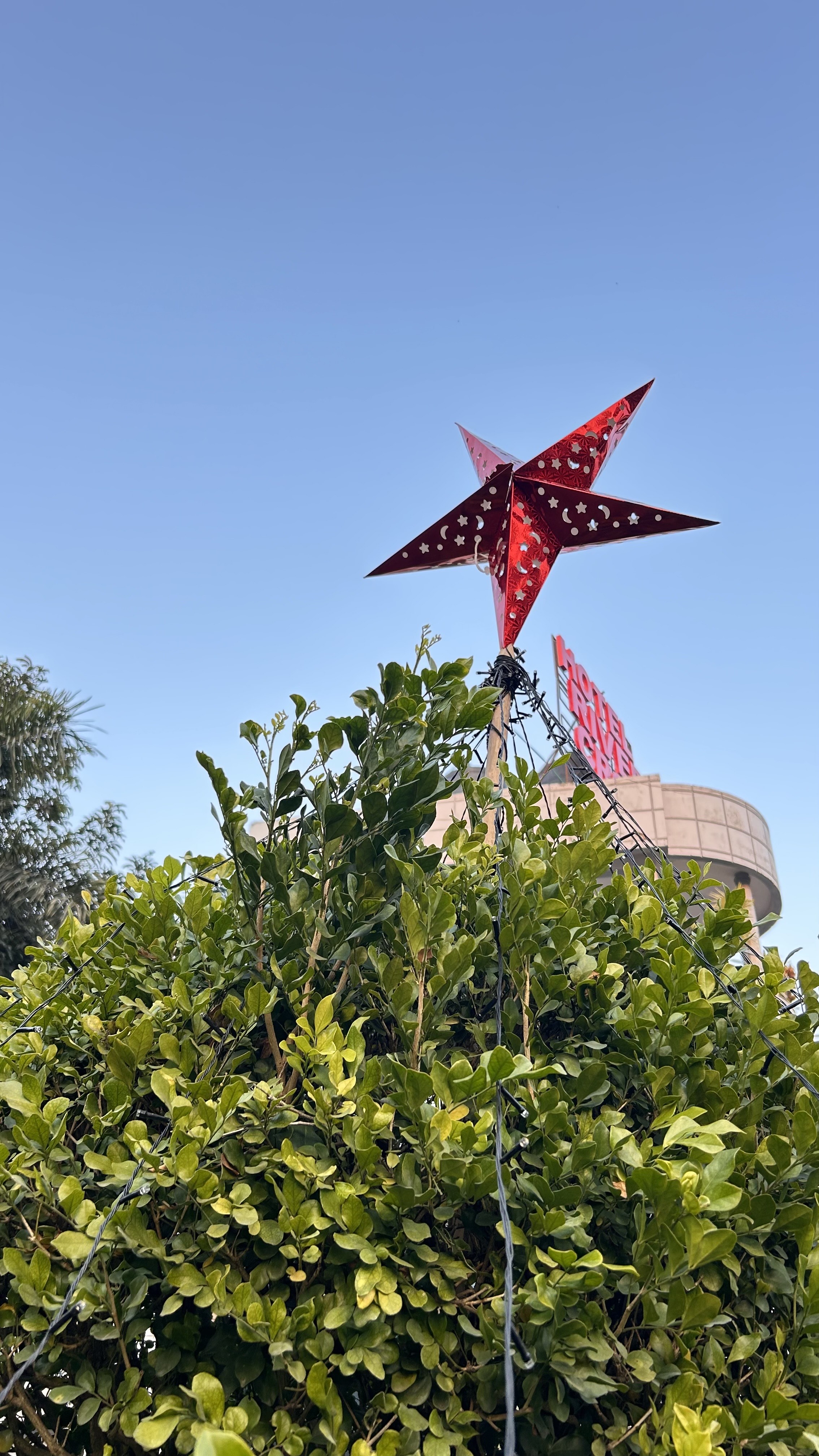 A bright red star decoration with white patterns stands atop a lush green shrub. In the background, a building with a sign reading "Hotel" is visible against a clear blue sky.