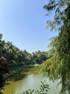 Overhead perspective of a tranquil lake, bordered by trees and reflecting the sky above.