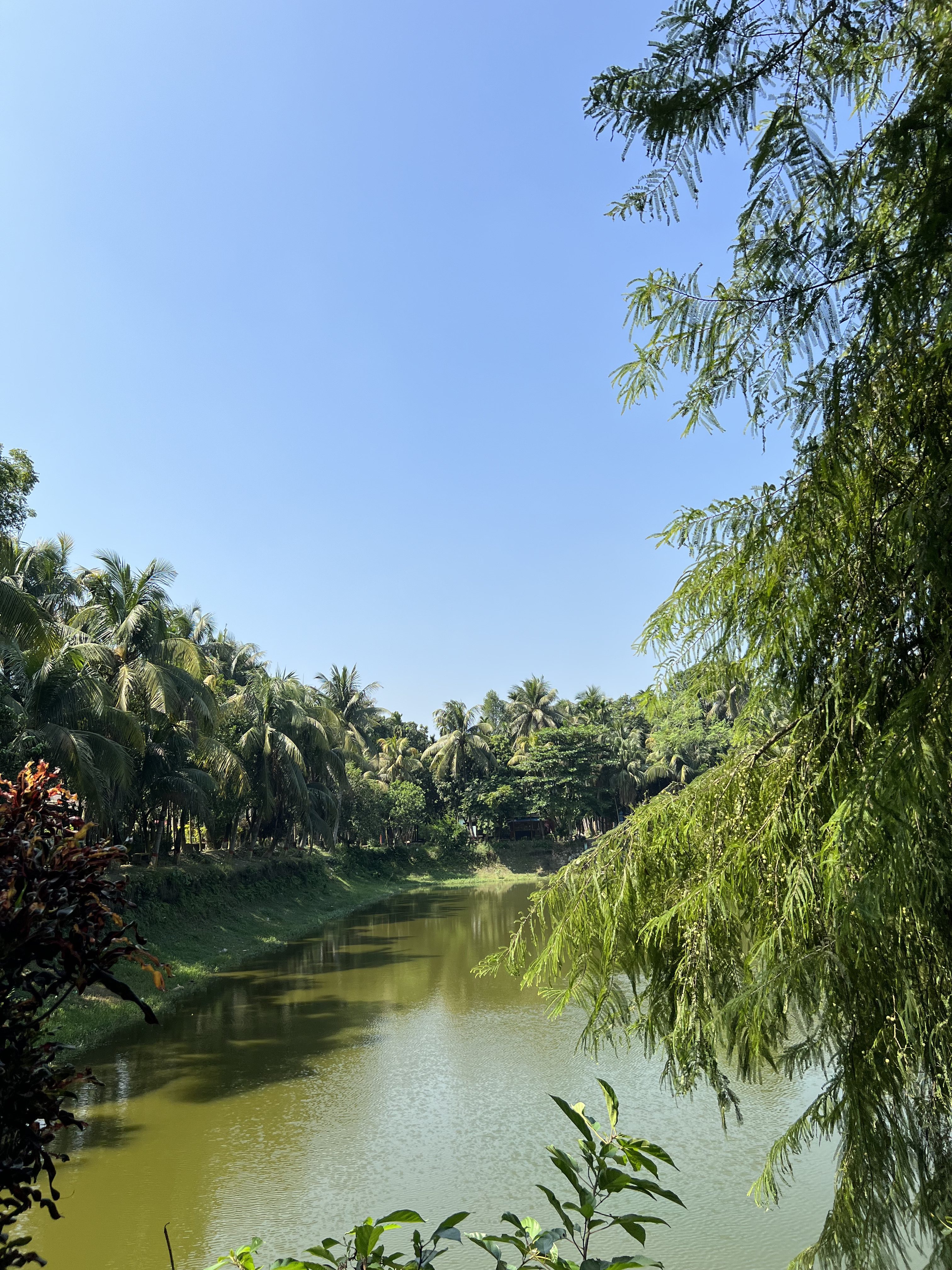 Overhead perspective of a tranquil lake, bordered by trees and reflecting the sky above.