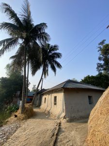 A narrow dirt path leads alongside a rustic, one-story house with a simple design and a metal roof. The house is partially shaded by tall palm trees, and there are clumps of hay stacked nearby. 