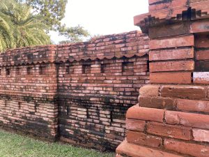 Red brick wall with weathered texture and decorative pattern, set against green grass and palm trees under a clear sky, conveying historical charm.