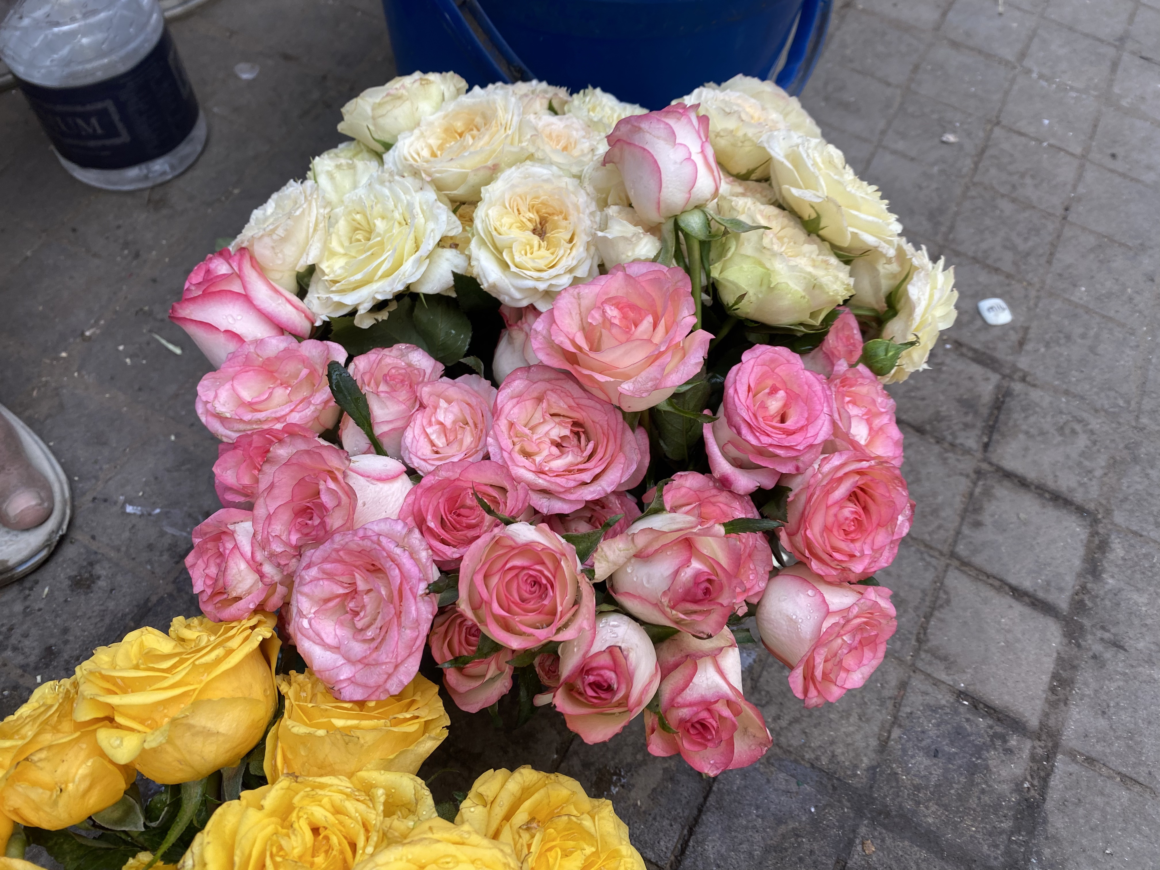 A vibrant bouquet of roses featuring a variety of colors, including pink, yellow, and white.