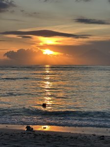 A golden sunset casts a shimmering path of light across the calm ocean as gentle waves touch the sandy shore.