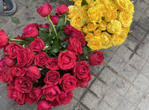 A vibrant display of freshly cut roses, featuring a bouquet of deep red roses with droplets of water on their petals, arranged alongside a cluster of bright yellow roses. 