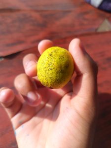 A hand holding a lemon on a wooden background.