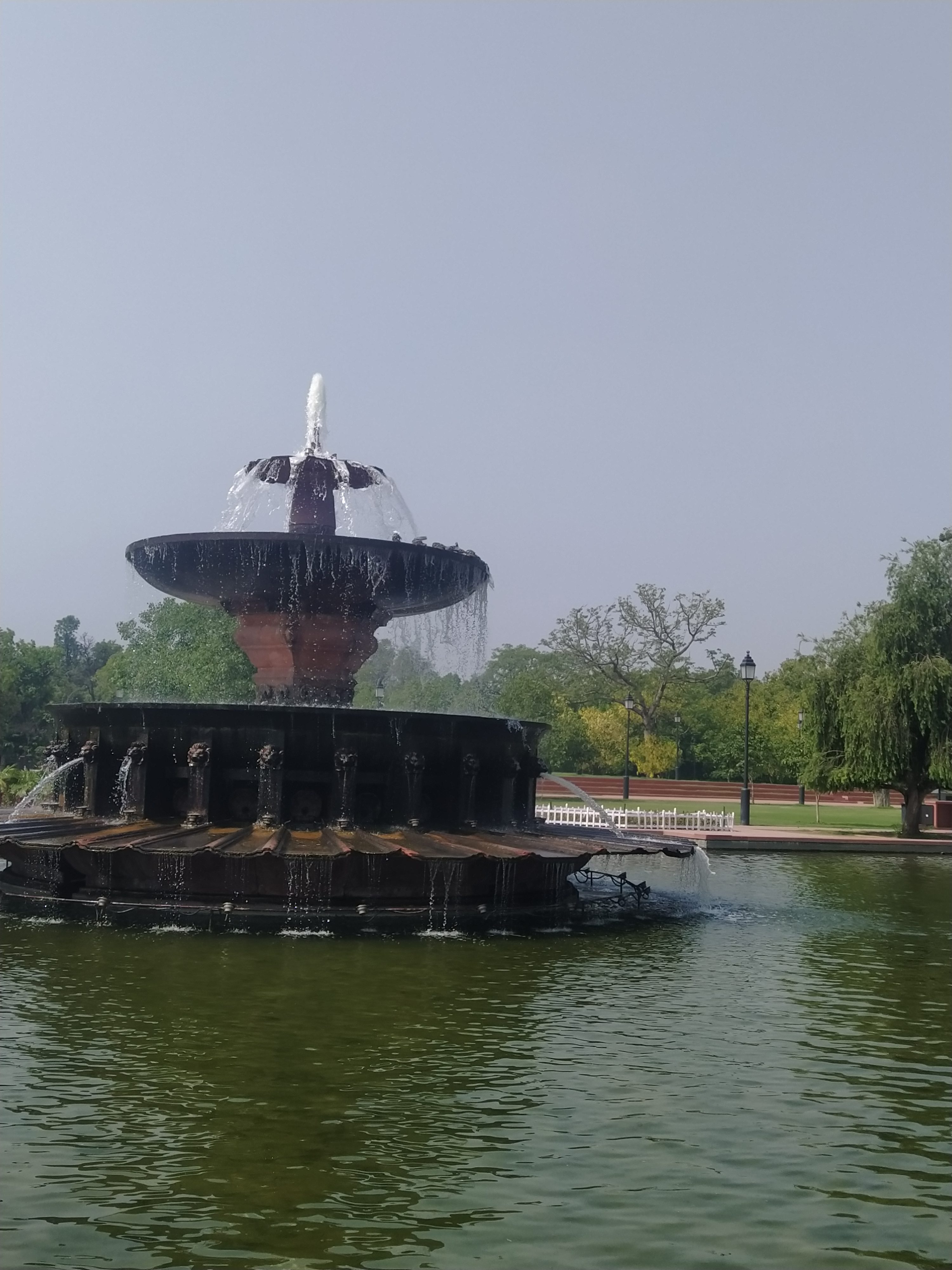 Graceful water fountain raising and falling. The background seems like a park or a garden