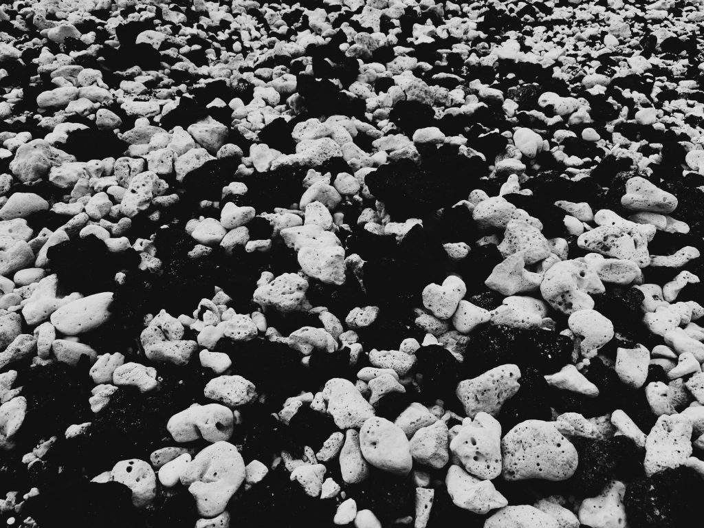 White pieces of coral amongst black lava rocks.