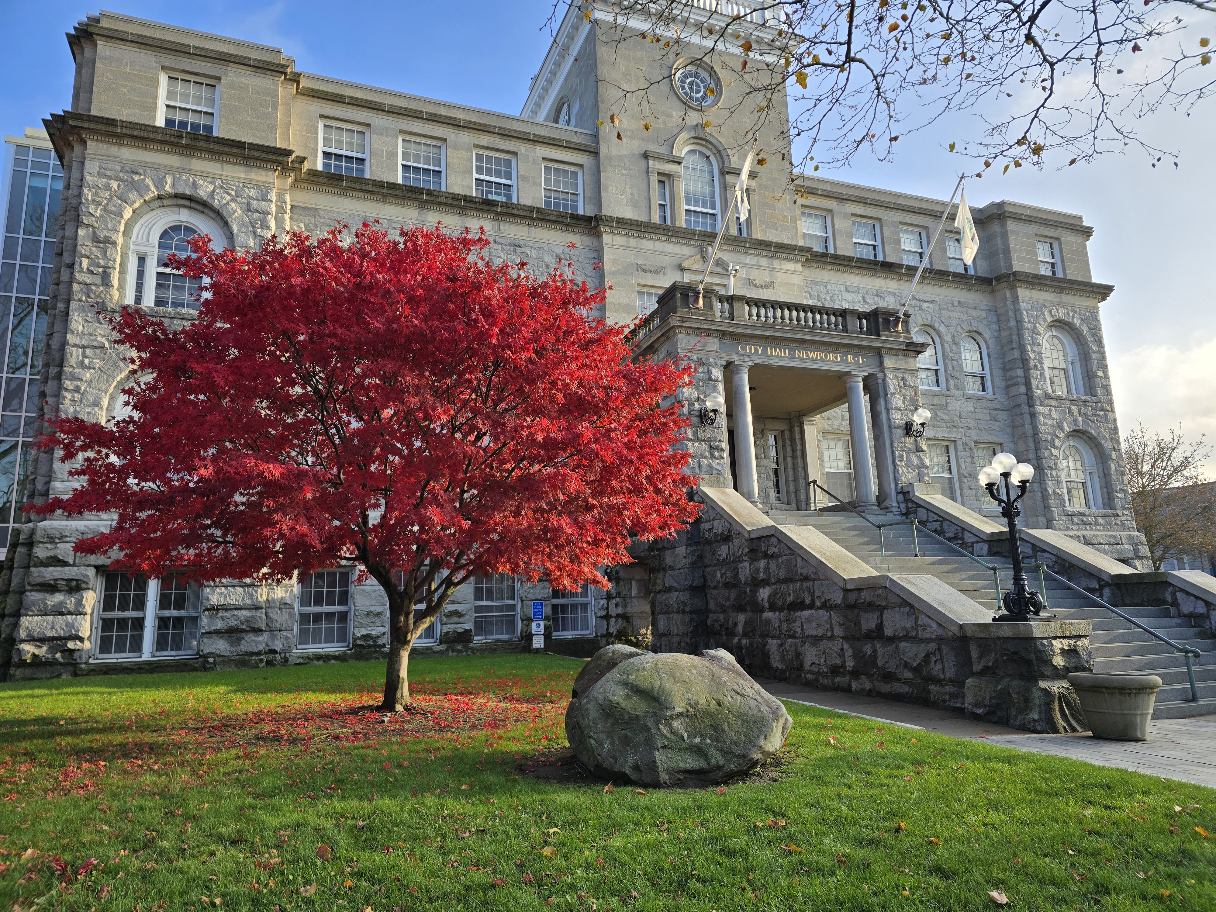 A vibrant red tree stands before the stone City Hall building with stairs leading to the entrance in Newport, Rhode Island.