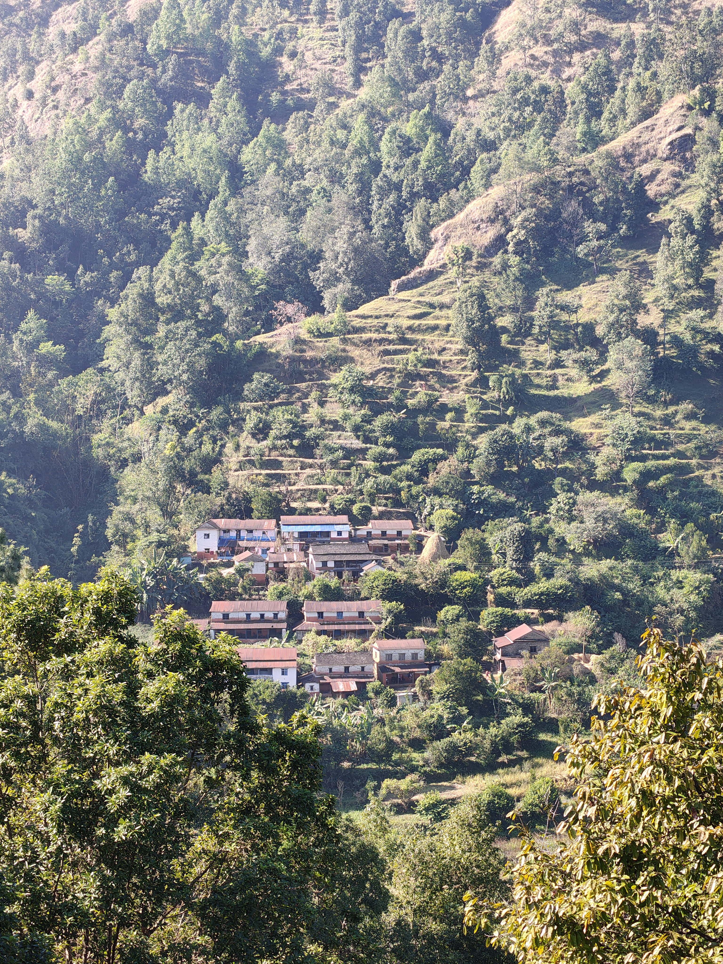 A scenic view of a hillside village surrounded by lush greenery. 