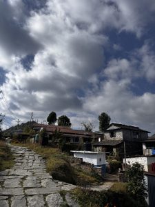 A stone pathway winds through a picturesque village, flanked by traditional houses with stone and wooden architecture. 
