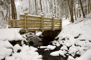 A wooden bridge over a small creek in a snowy forest.