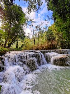Kuang Si Waterfalls near Luang Prabang, Laos, show a wide curtain of water spilling gently over smooth limestone ledges into a pale green pool, framed by dense jungle trees and tall grasses beneath a bright blue sky.
