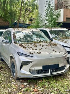 A brand new SUV placed in the backyard covered with some dry leaves depicting old but gold!
