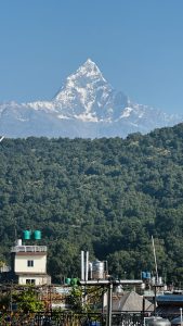 A snow-capped mountain peak rises majestically against a clear blue sky, surrounded by a lush green forest. 