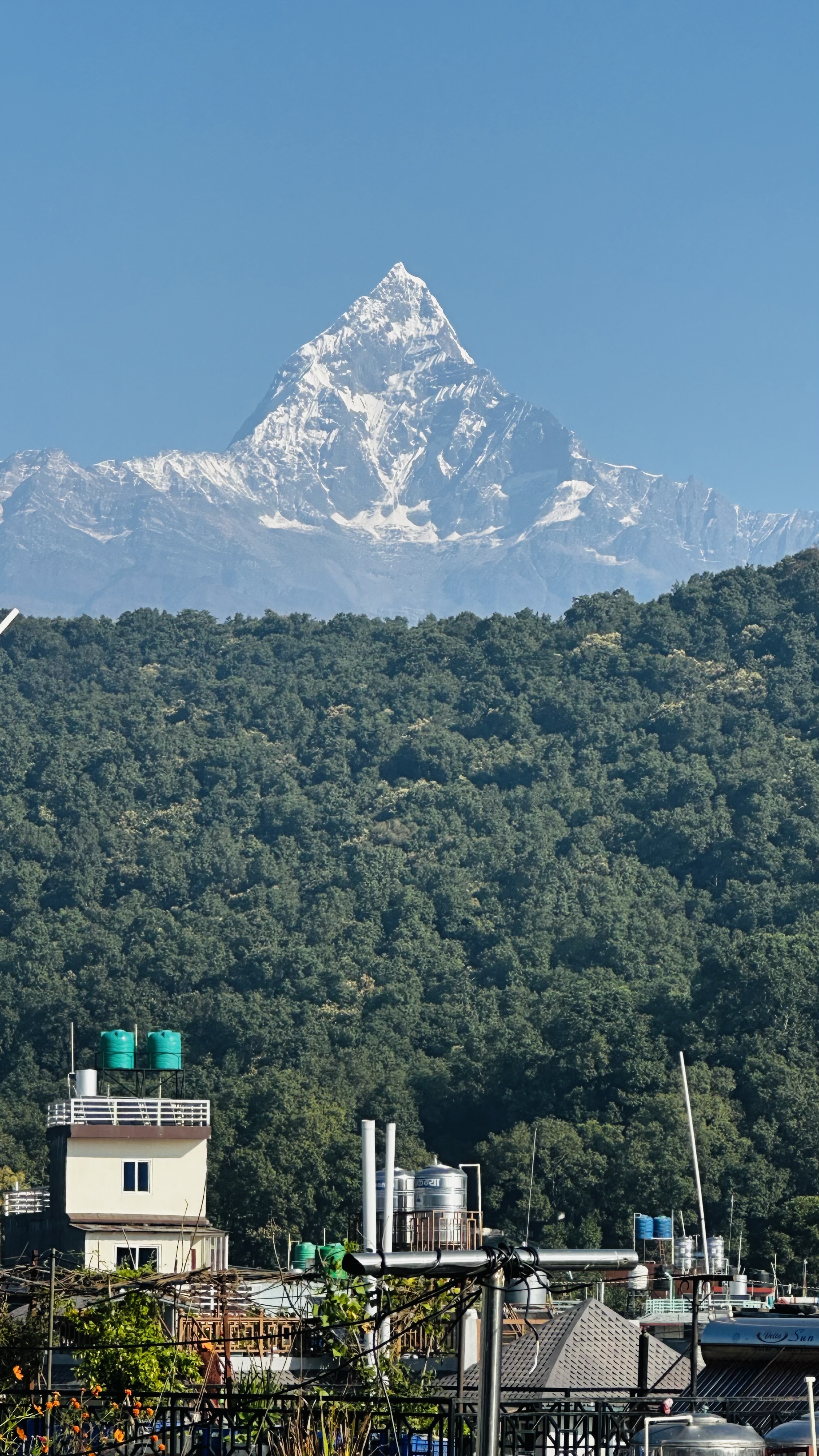 A snow-capped mountain peak rises majestically against a clear blue sky, surrounded by a lush green forest. 