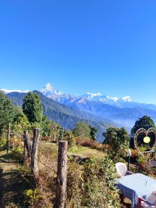 A scenic landscape featuring snow-capped mountains in the background under a clear blue sky. 